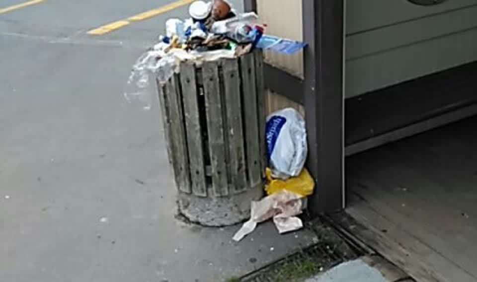 The photograph attached to this rubbish/recycling report