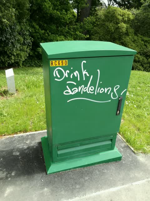 Graffiti, a report photo