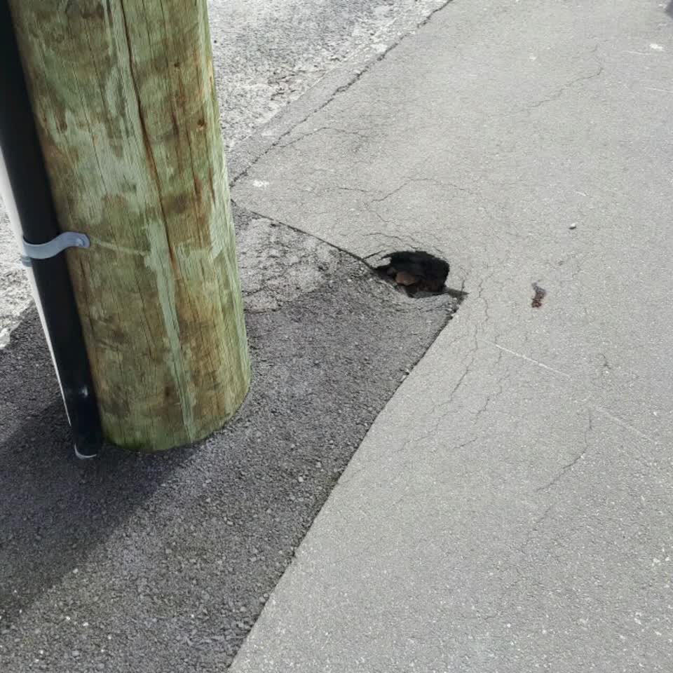 The photograph attached to this roading/streets report