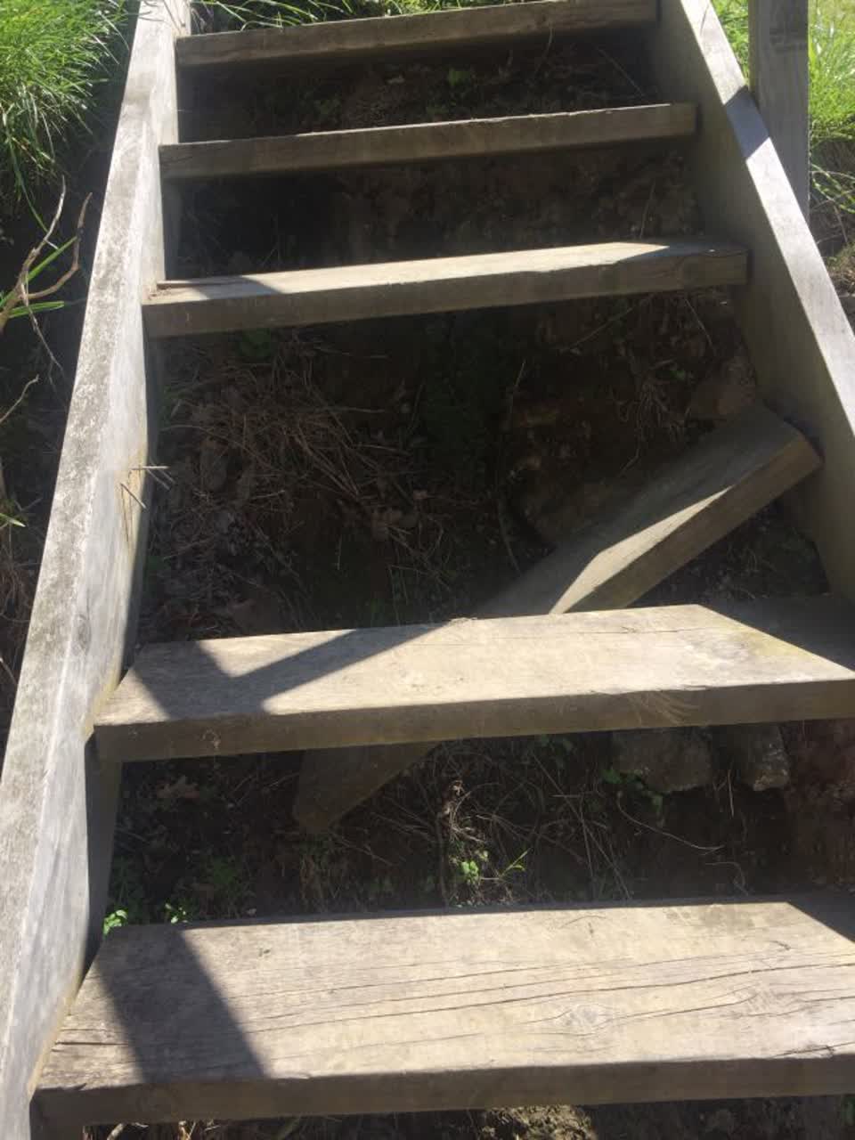 The photograph attached to this parks report
