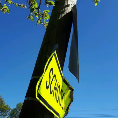 Roading/Streets, a report photo