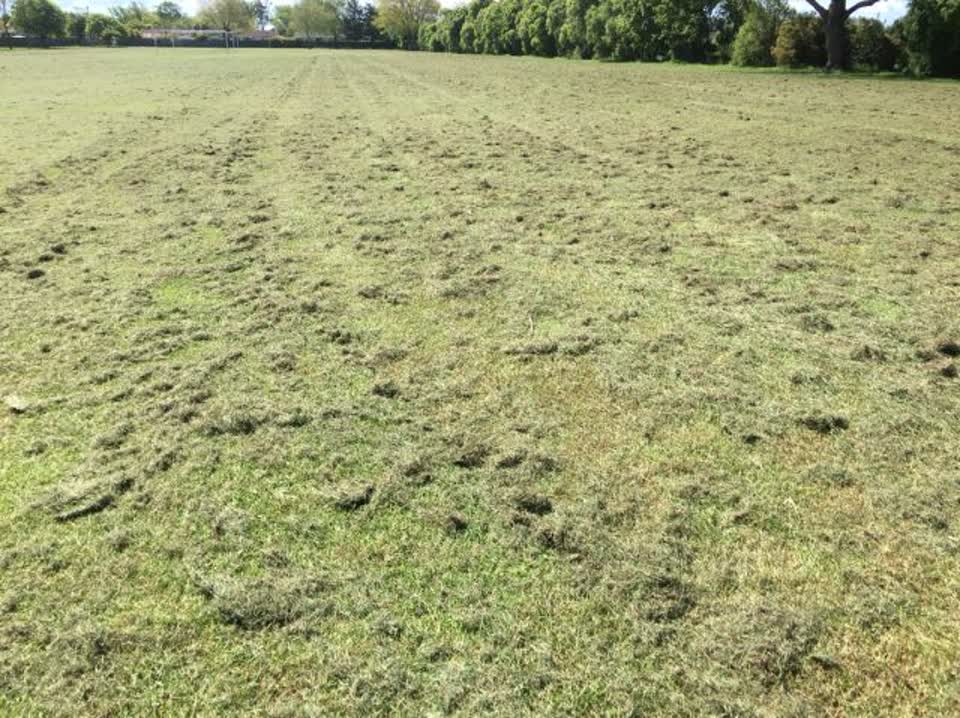 The photograph attached to this parks report