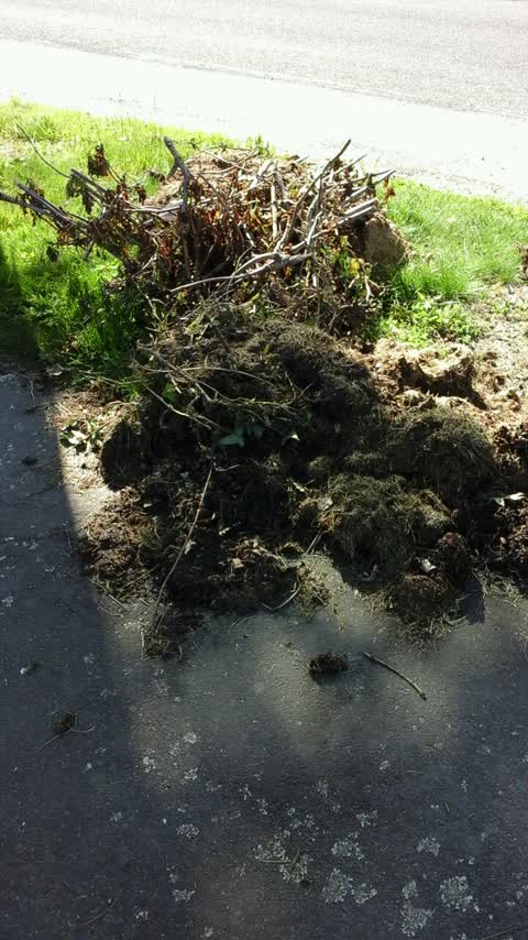 Rubbish/Recycling, a report photo