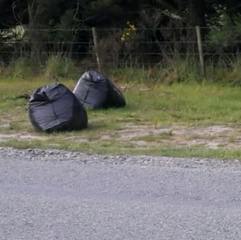Rubbish/Recycling, a report photo