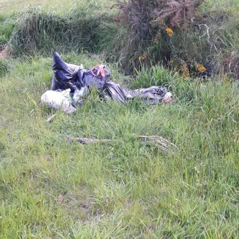 Rubbish/Recycling, a report photo