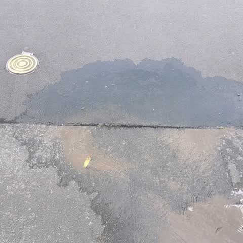 Water Supply, a report photo