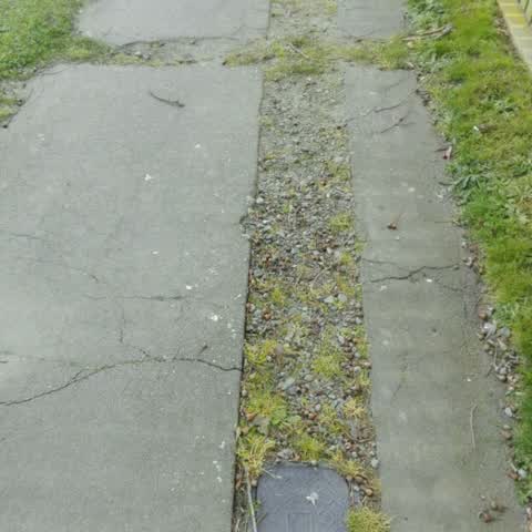 Roading/Streets, a report photo