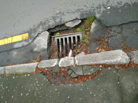 Roading/Streets, a report photo