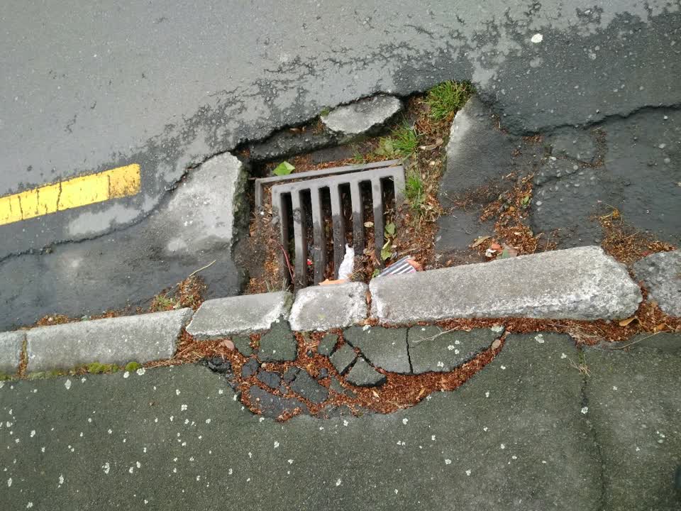 The photograph attached to this roading/streets report