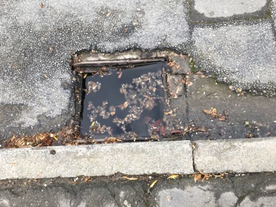 The photograph attached to this wastewater/stormwater report