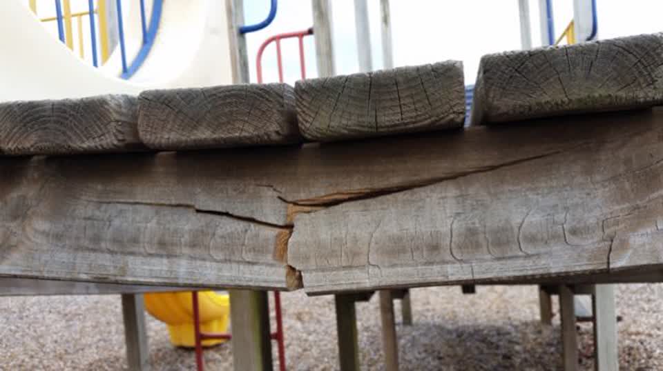 The photograph attached to this parks report