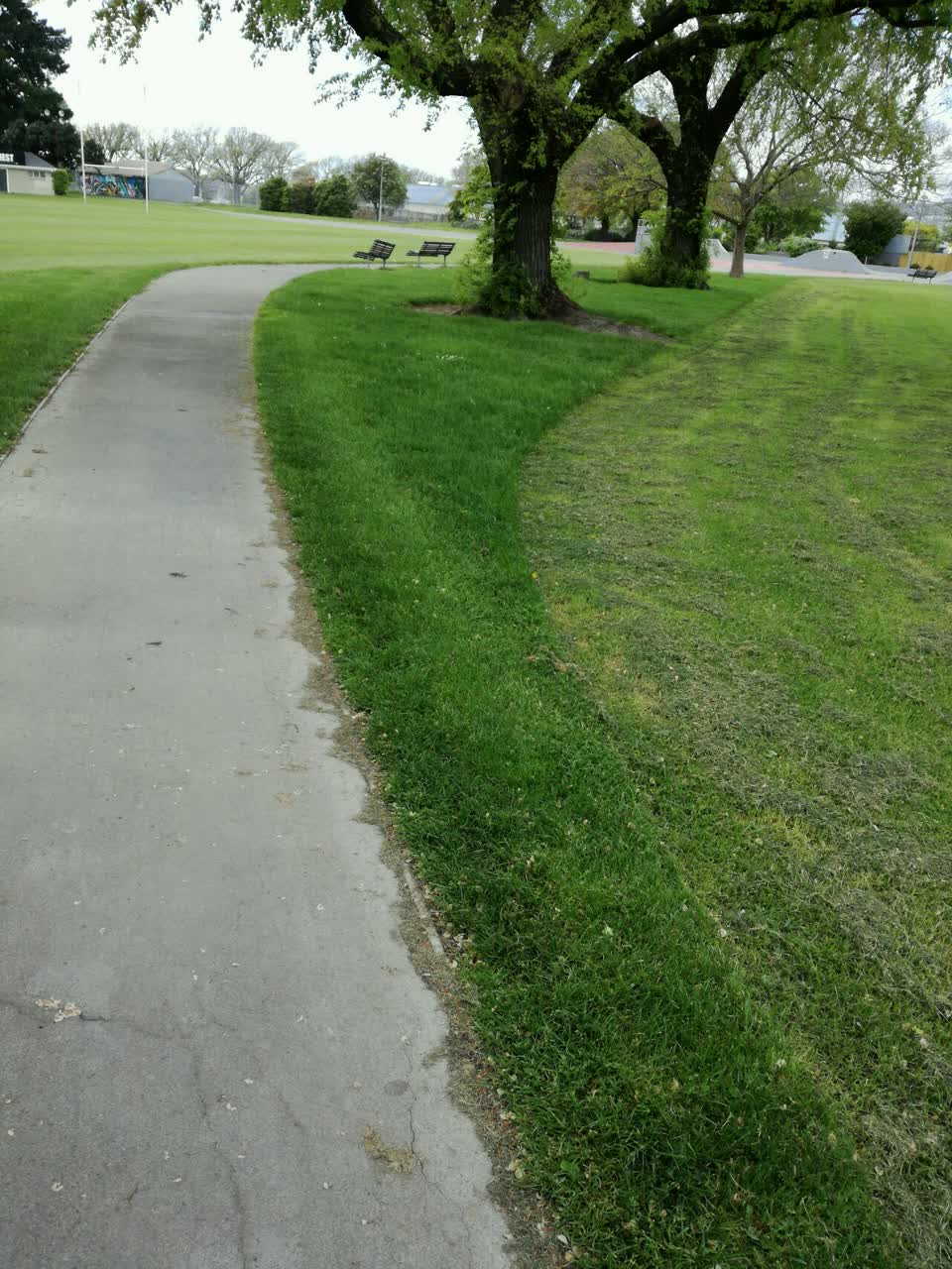 The photograph attached to this parks report