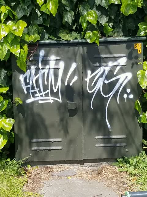 Graffiti, a report photo