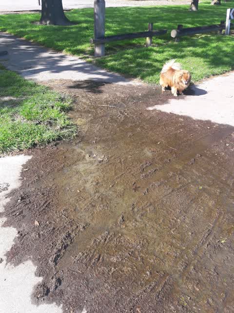 Wastewater/Stormwater, a report photo