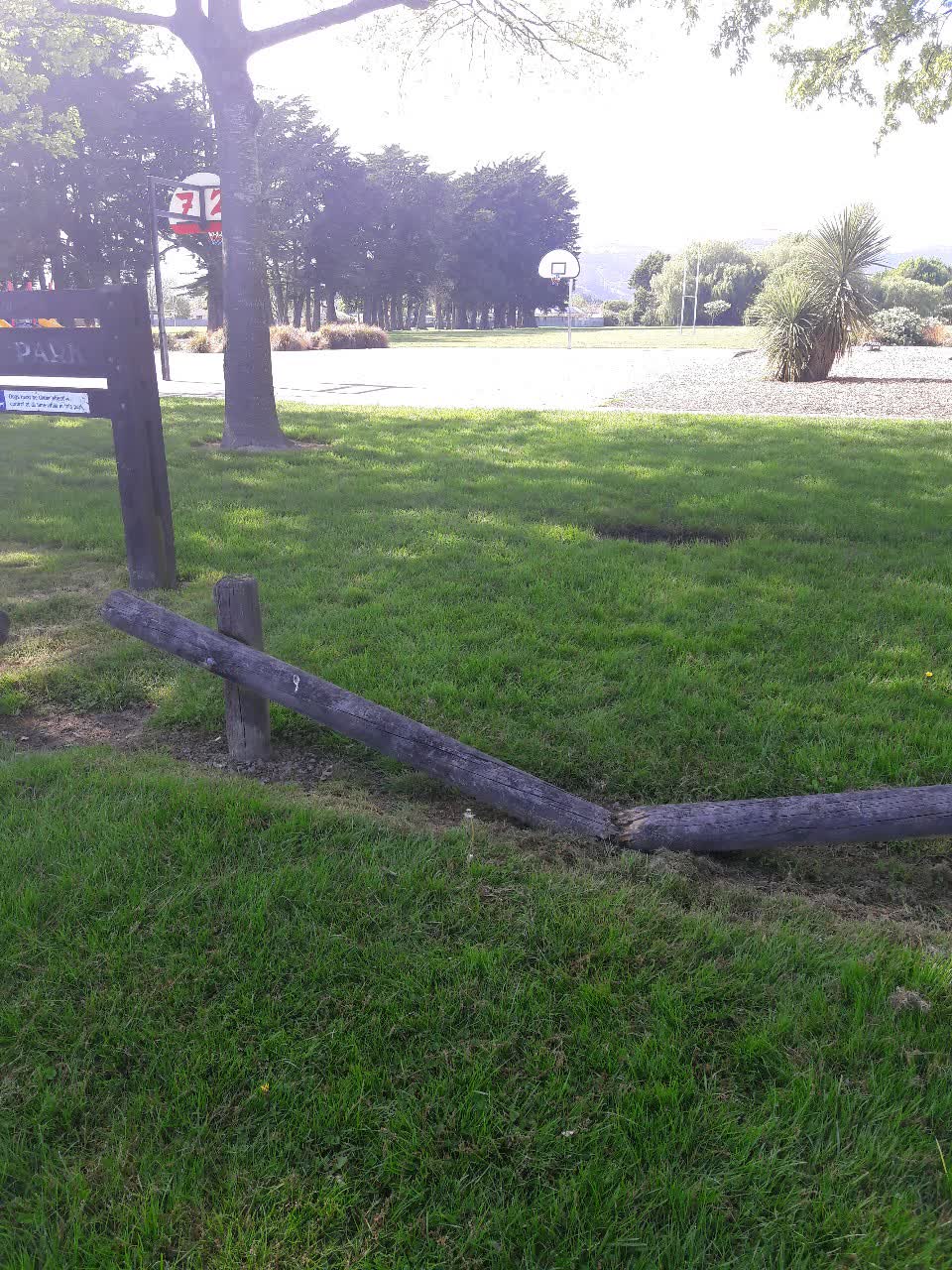 The photograph attached to this parks report