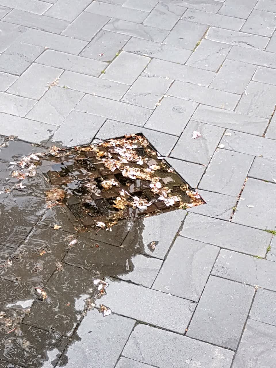 The photograph attached to this water supply report