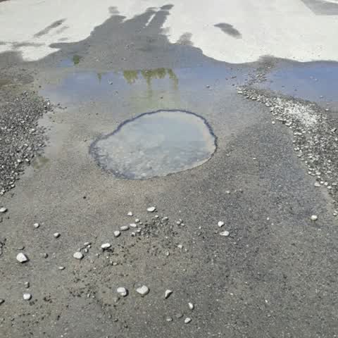 Water Supply, a report photo