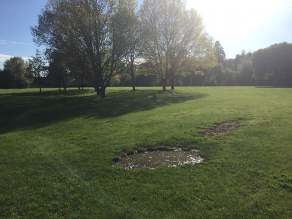 The photograph attached to this parks report