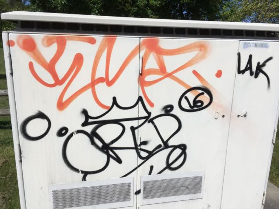 The photograph attached to this graffiti report