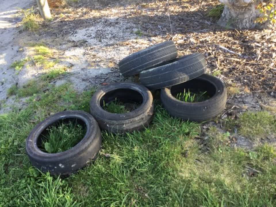 The photograph attached to this rubbish/recycling report