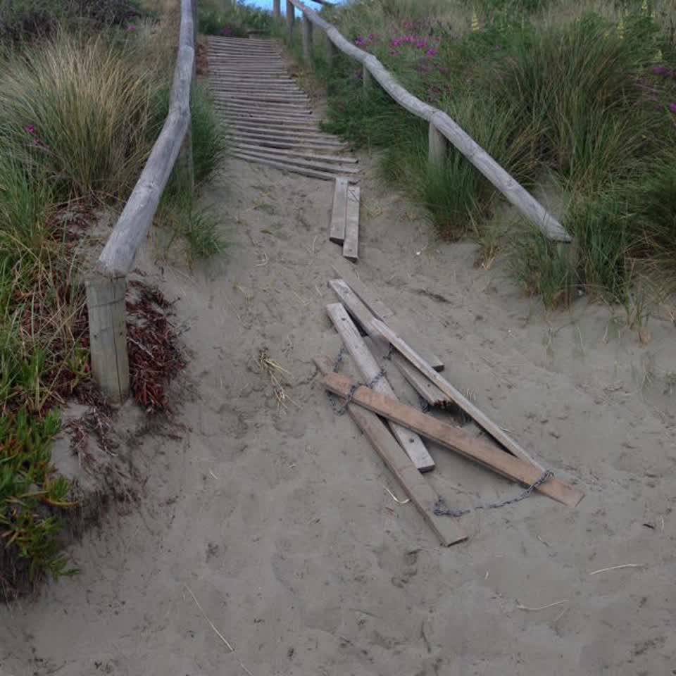 The photograph attached to this parks report