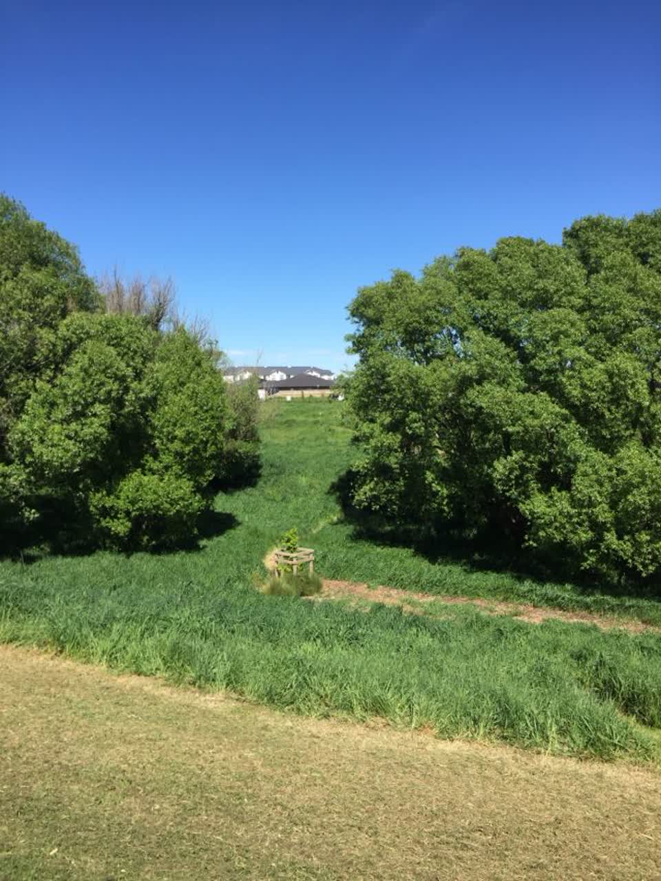 The photograph attached to this parks report