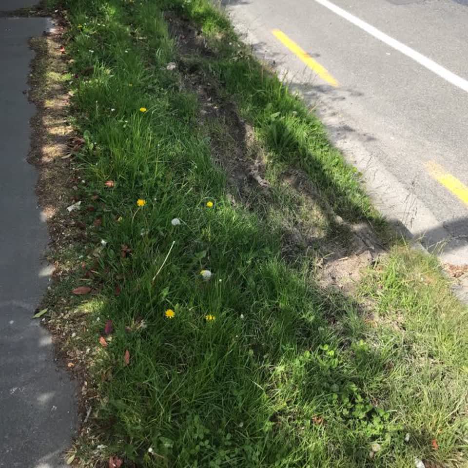 The photograph attached to this roading/streets report