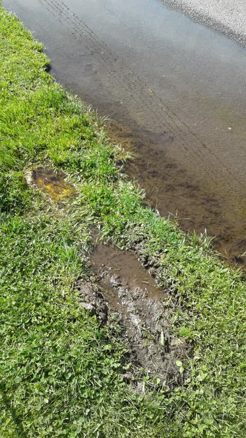 Water Supply, a report photo