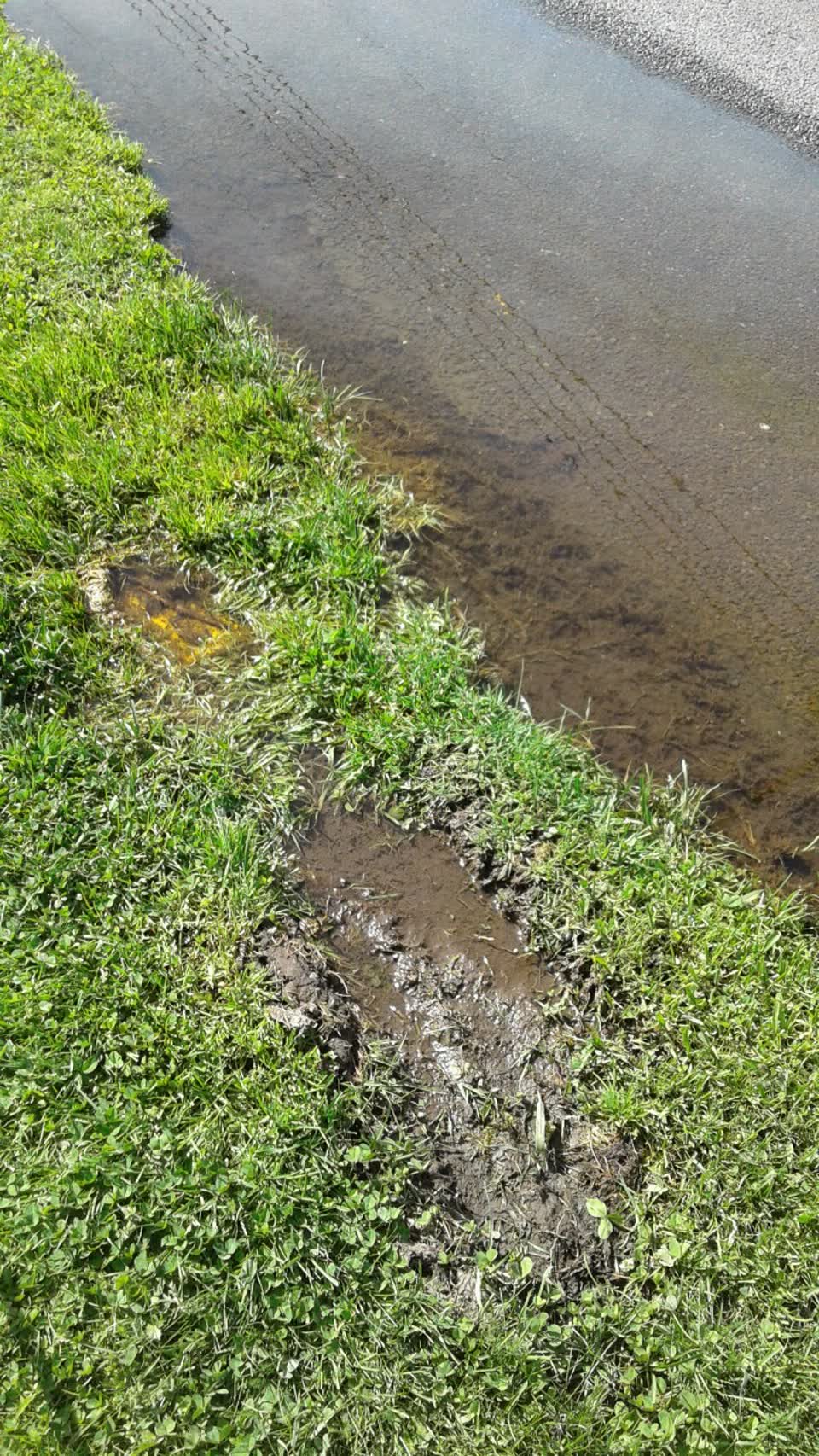 The photograph attached to this water supply report