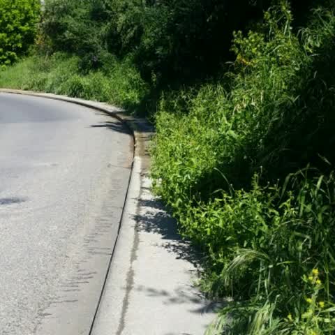 Roading/Streets, a report photo