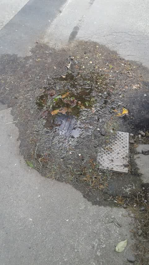Water Supply, a report photo