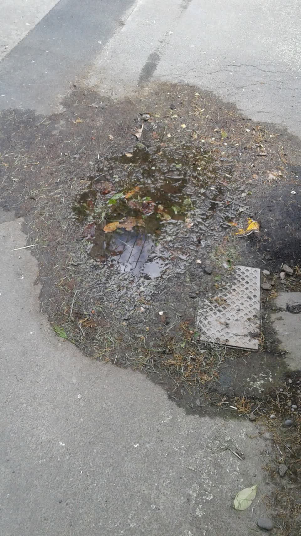 The photograph attached to this water supply report