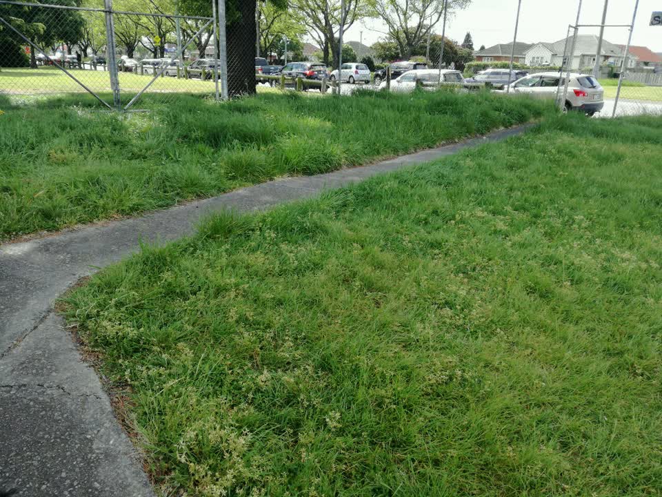 The photograph attached to this parks report