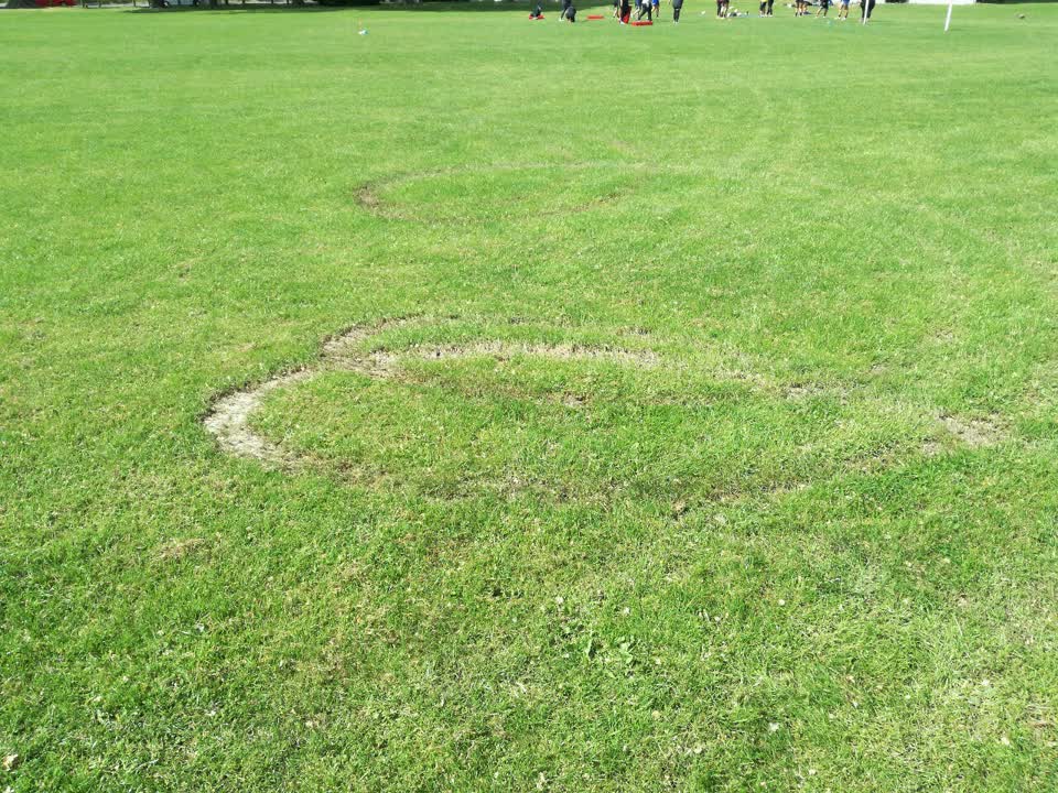 The photograph attached to this parks report