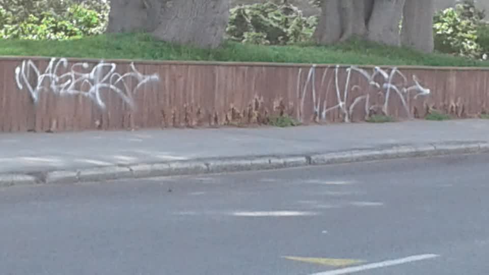The photograph attached to this graffiti report