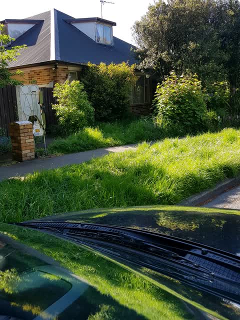 Roading/Streets, a report photo