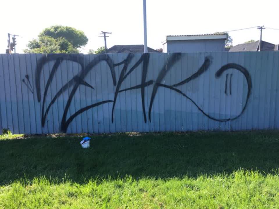 The photograph attached to this graffiti report