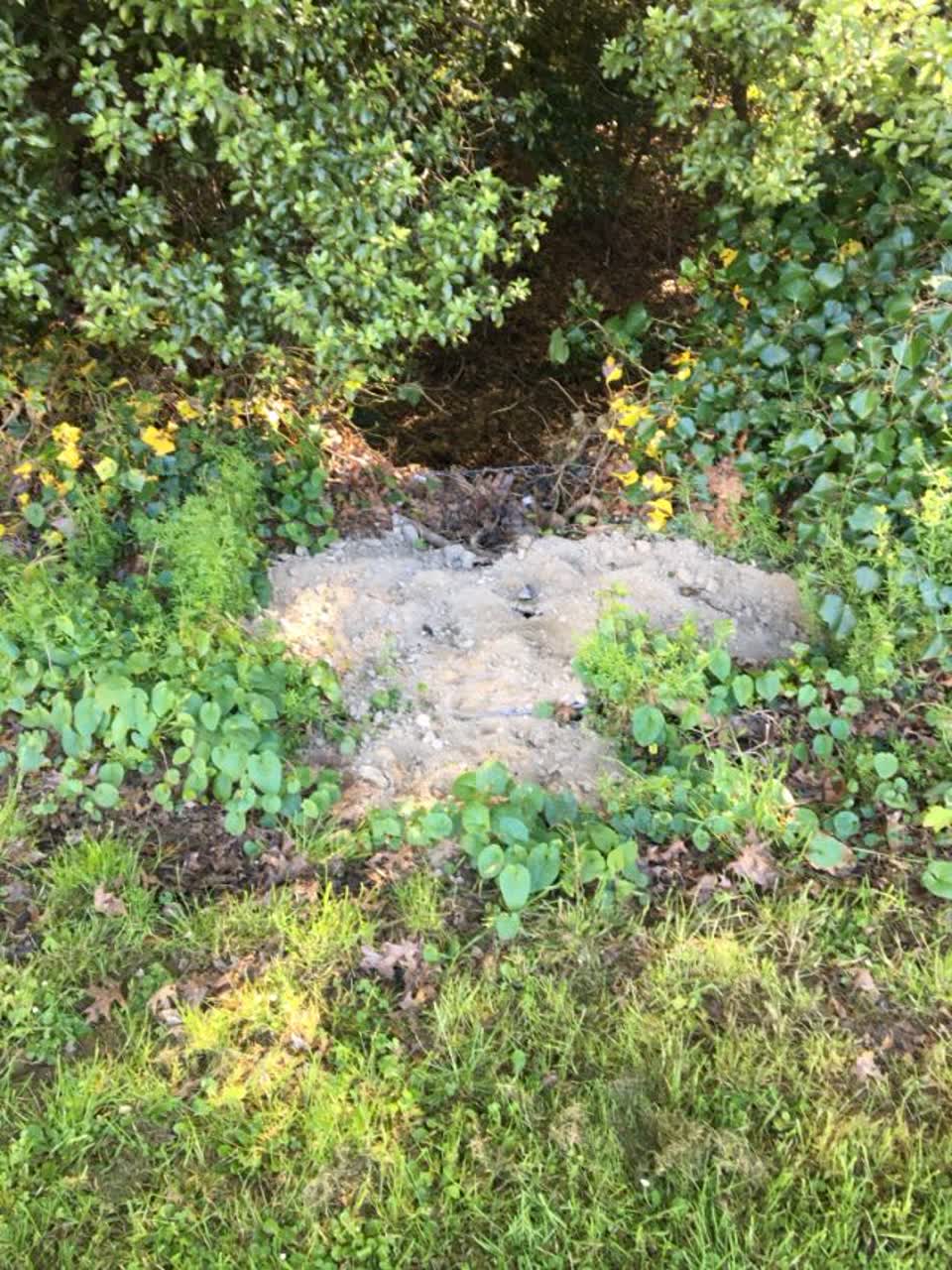The photograph attached to this roading/streets report