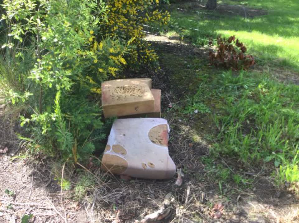 The photograph attached to this rubbish/recycling report