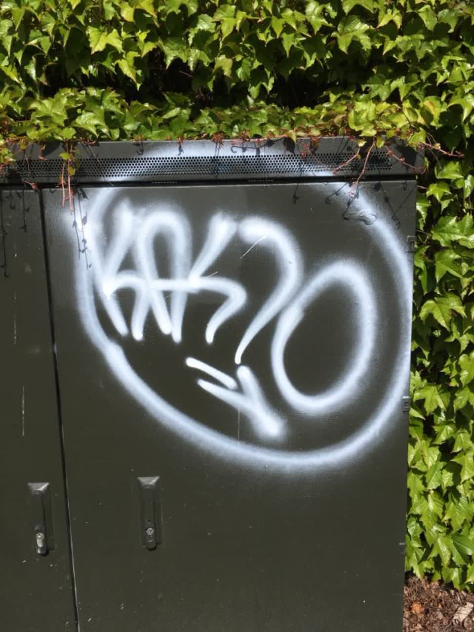 The photograph attached to this graffiti report