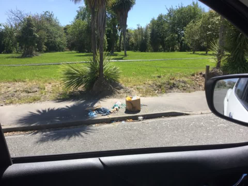 The photograph attached to this rubbish/recycling report