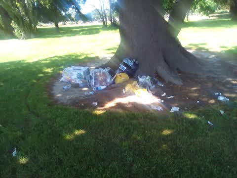 Rubbish/Recycling, a report photo