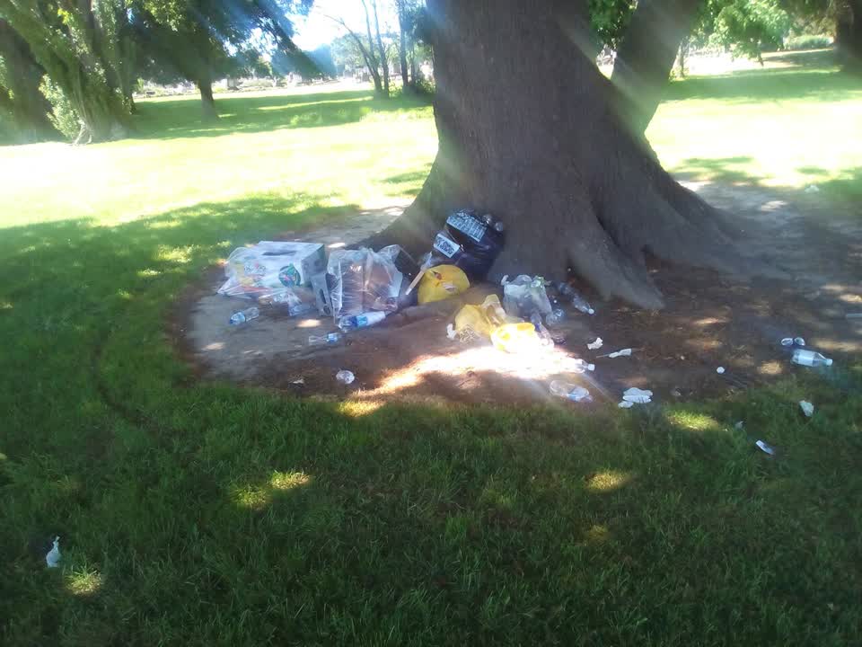The photograph attached to this rubbish/recycling report
