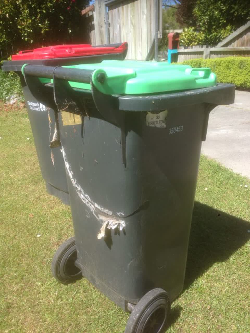 The photograph attached to this rubbish/recycling report