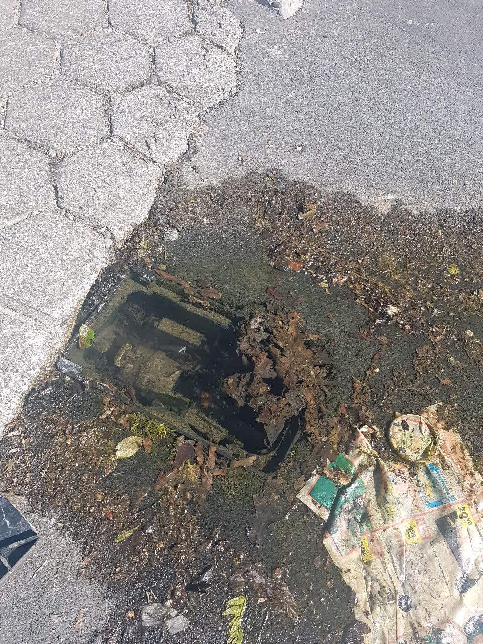 The photograph attached to this water supply report