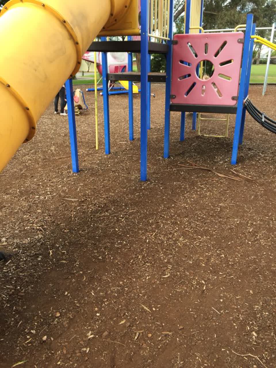 The photograph attached to this parks report