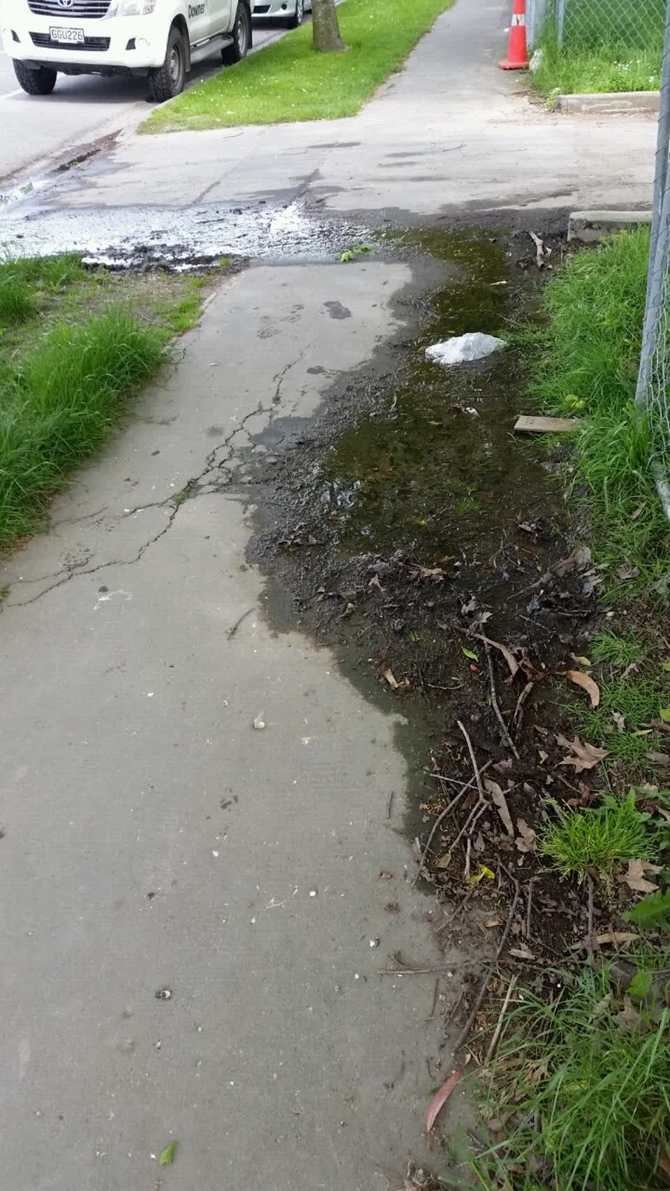 The photograph attached to this water supply report