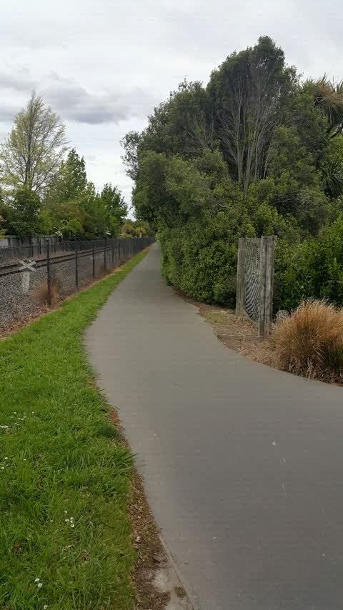 Roading/Streets, a report photo
