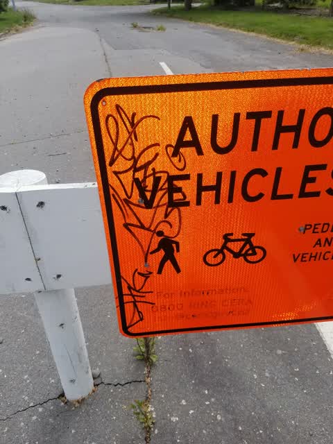 Graffiti, a report photo
