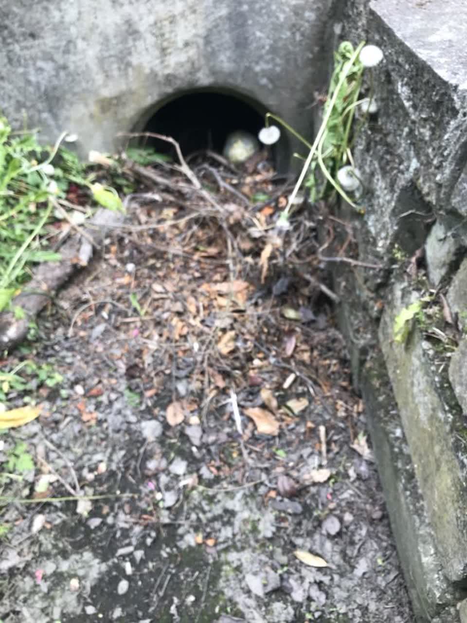 The photograph attached to this wastewater/stormwater report